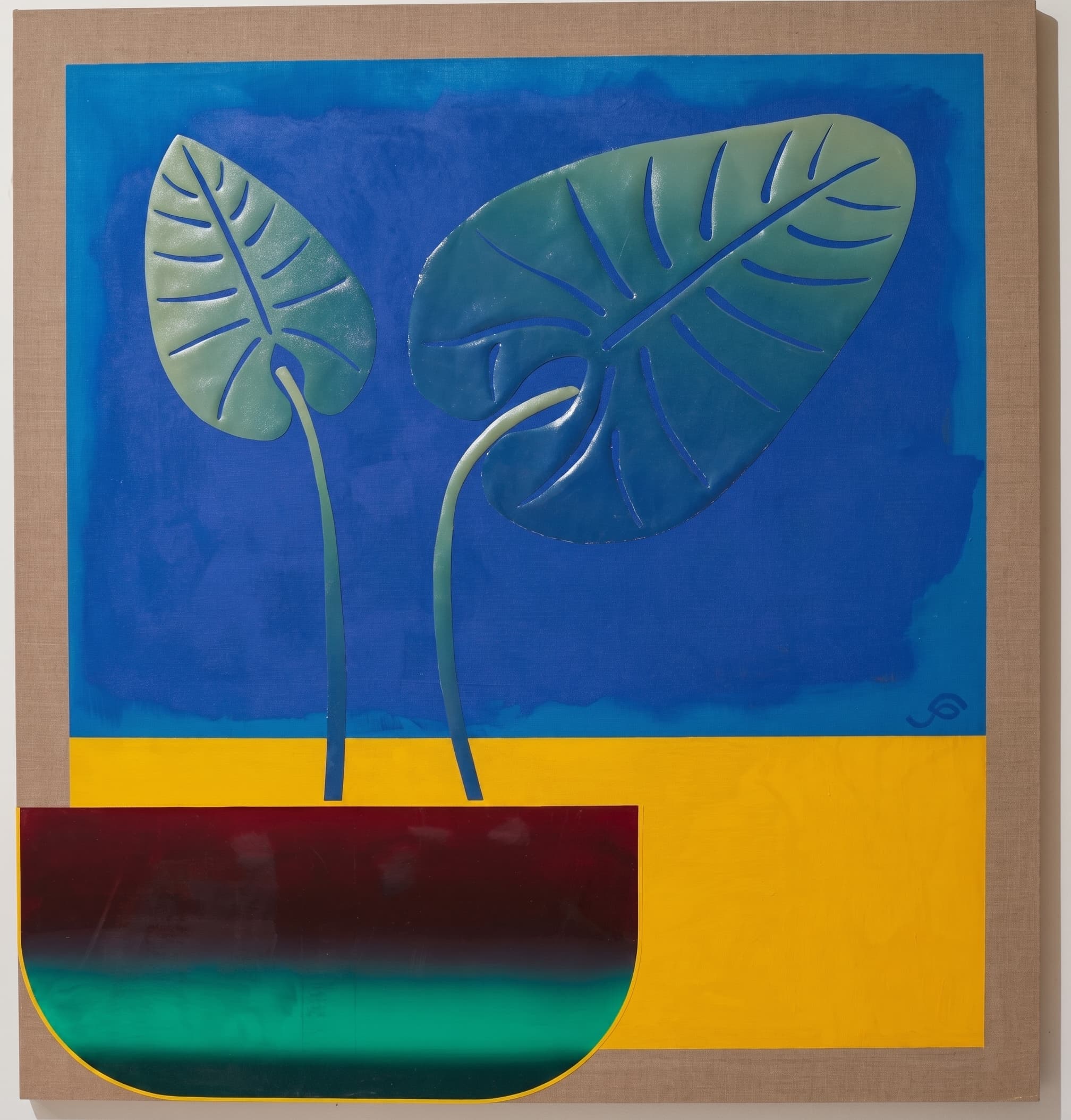 Two sculpted elephant-ear leaves in a gradient pot on cobalt blue.